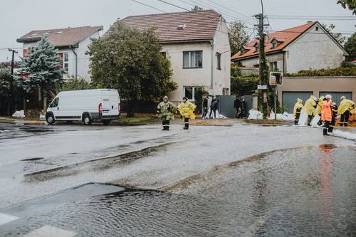 What a Shop Vac Misses: Why Emergency Water Extraction Uses Different Equipment Than Your Garage Shelf